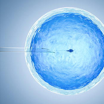 Understanding IVF Treatment Success Rate in Singapore